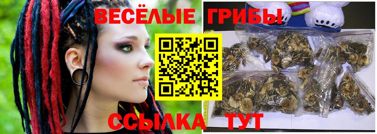 Сафоново  Галлюциногенные грибы Magic Shrooms  Вход с VPN 